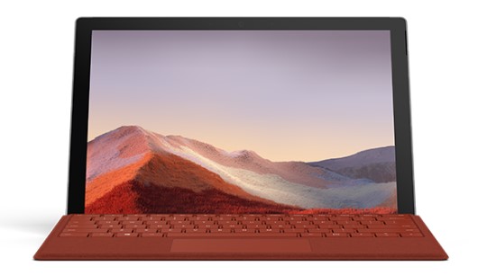 龙马潭清洁和维护 Surface